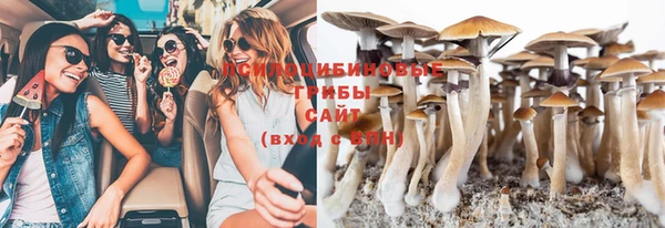 спиды Ладушкин