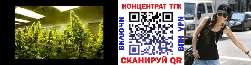 mega   Шилка  Дистиллят ТГК THC oil 