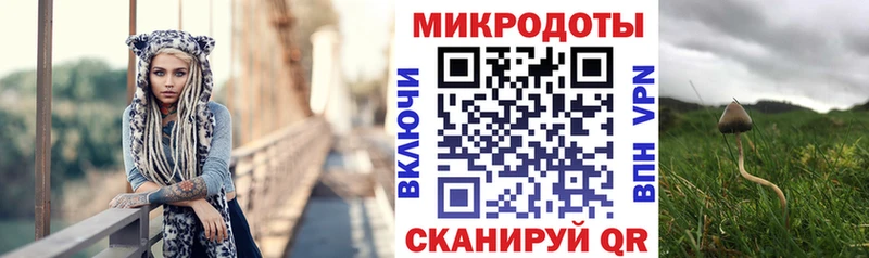 блэк спрут как войти  Шилка  Псилоцибиновые грибы ЛСД 