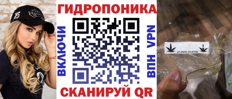 Марихуана план наркота Шилка